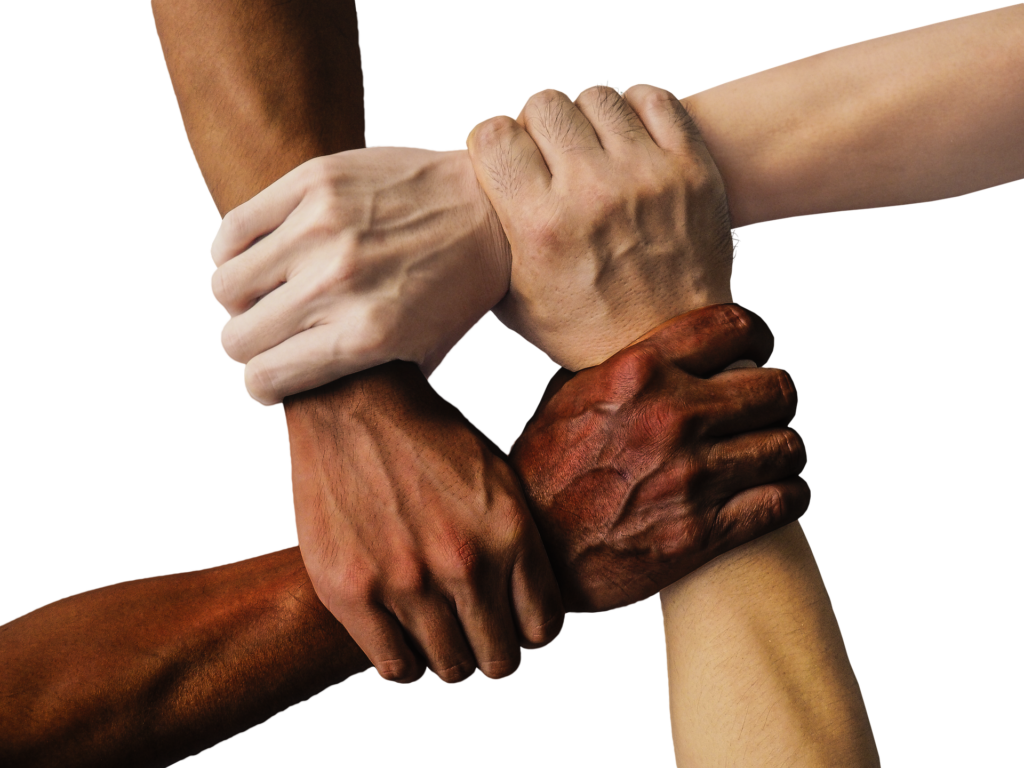 Two hands clasped together in partnership, representing Red Leaf's collaborative and accountable approach to client relationships